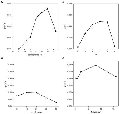 Looking for the mechanism of arsenate respiration of Fusibacter sp. strain 3D3, independent of ArrAB